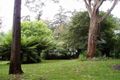 Property photo of 29 Hazel Grove Tecoma VIC 3160