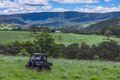 Property photo of 739 Chichester Dam Road Bendolba NSW 2420