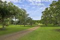 Property photo of 183 Ocean View Road Cooroy QLD 4563