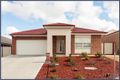 Property photo of 7 Renfree Street Casey ACT 2913