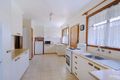 Property photo of 28 Davesta Road Springwood NSW 2777