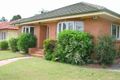 Property photo of 37 Booligal Street Carina QLD 4152