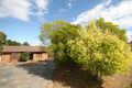 Property photo of 7 Simon Court Aberfoyle Park SA 5159