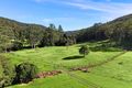 Property photo of 255 Brush Creek Road Cedar Brush Creek NSW 2259