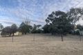 Property photo of 6 Ferrier Street Roma QLD 4455
