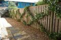 Property photo of 14 Cypress Crescent Cabarita Beach NSW 2488