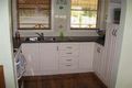 Property photo of 56 Osborn Avenue Muswellbrook NSW 2333