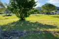 Property photo of 41 Duncan Street Woolomin NSW 2340
