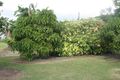 Property photo of 60 Richmont Drive Bouldercombe QLD 4702