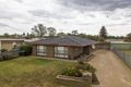 Property photo of 3 Ash Court Red Cliffs VIC 3496