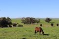 Property photo of 1539 R M Williams Way Spalding SA 5454