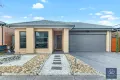 Property photo of 12 Cutleaf Crescent Tarneit VIC 3029