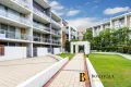 Property photo of 332/268 Pitt Street Waterloo NSW 2017