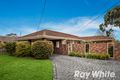 Property photo of 14 Dunbarton Drive Wantirna VIC 3152