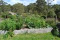 Property photo of 54 Leechs Gully Road Tenterfield NSW 2372
