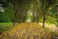 Property photo of 59 Princes Highway Bodalla NSW 2545