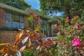 Property photo of 113 Whale Beach Road Avalon Beach NSW 2107
