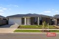 Property photo of 3 Densley Avenue Gawler Belt SA 5118