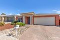 Property photo of 17 Sunridge Drive Mernda VIC 3754