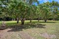 Property photo of 61 Royston Park Drive Kuttabul QLD 4741