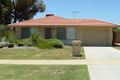 Property photo of 31 Camberwell Road Balga WA 6061