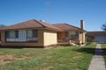 Property photo of 51 Coree Street Finley NSW 2713