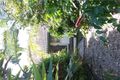 Property photo of 5 Maple Drive Alstonville NSW 2477