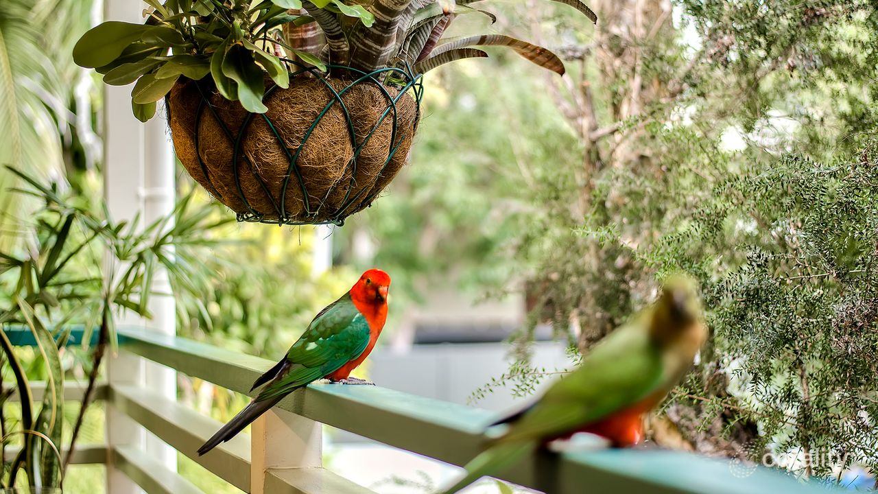 3-bedroom house at 14 Warralong Street, The Gap, QLD 4061, Brisbane, Queensland