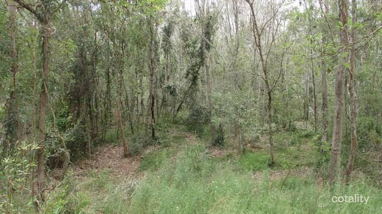 1-bedroom house at 1901 Mount Gravatt-Capalaba Road, Chandler, QLD 4155, Brisbane, Queensland