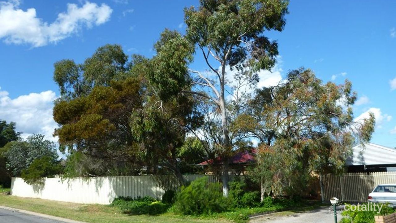 3-bedroom house at 11 Grenache Avenue, Modbury, SA 5092, Tea Tree Gully, South Australia