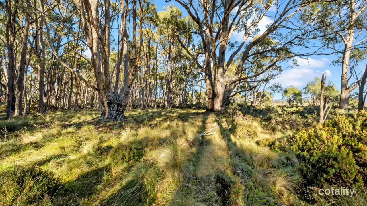 2-bedroom house at 47 Woodwards Bay Road, Bradys Lake, TAS 7140, Central Highlands Council, Tasmania