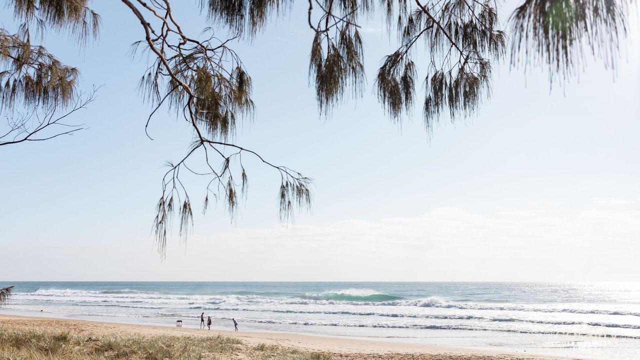 4-bedroom house at 24 Baroona Street, Wurtulla, QLD 4575, Sunshine Coast, Queensland