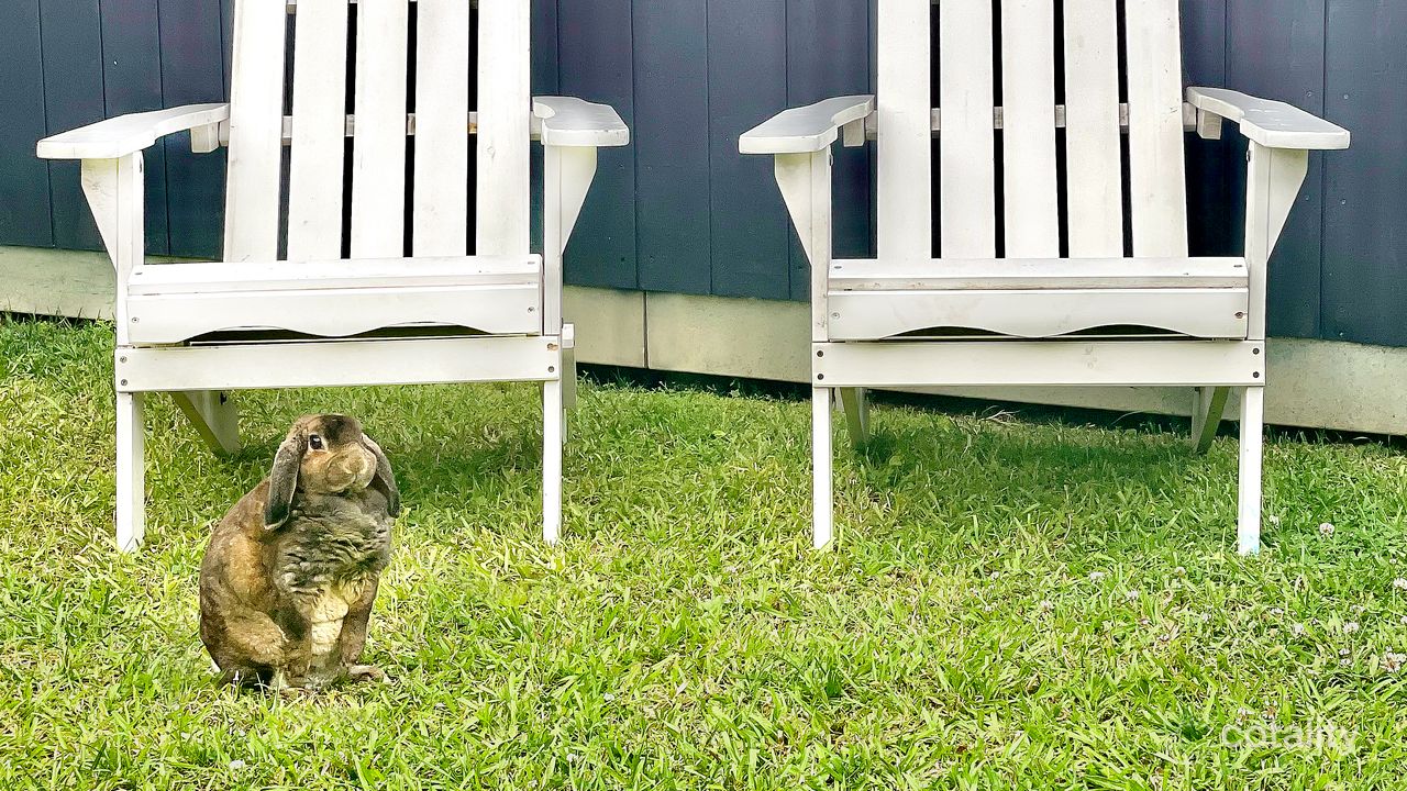 4-bedroom house at 18 Central Parade, Murwillumbah, NSW 2484, Tweed, New South Wales