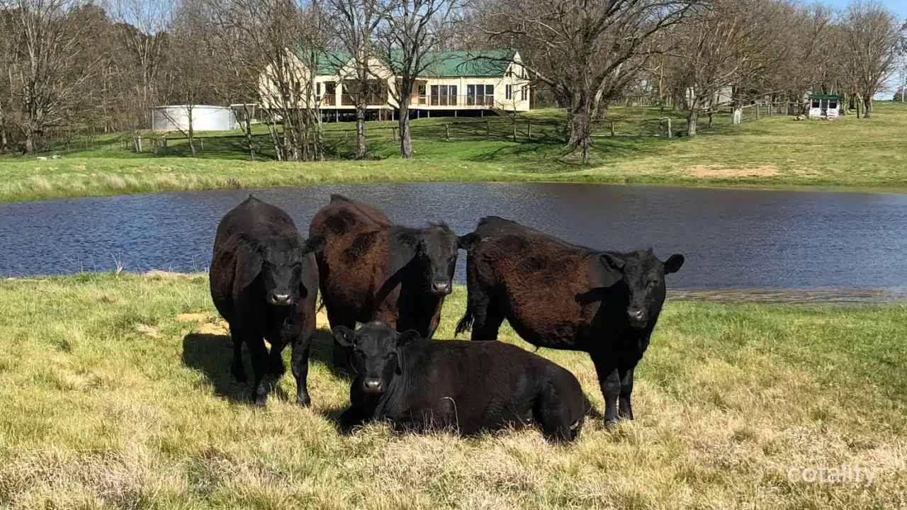 4-bedroom house at 6910 Boorowa Road, Lost River, NSW 2583, Upper Lachlan Council, New South Wales