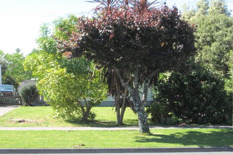 Photo of property in 107 Harris Street, Inner Kaiti, Gisborne, 4010