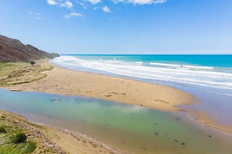 Photo of property in 3428 Pourerere Beach Road, Pourerere, Omakere, 4271