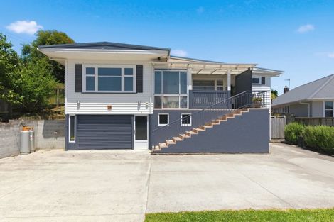 Photo of property in 29 Kawiu Road, Levin, 5510