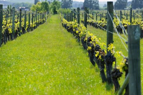 Photo of property in 35 Brighton Street, Island Bay, Wellington, 6023