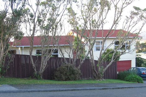 Photo of property in 43 Carluke Street, Paparangi, Wellington, 6037