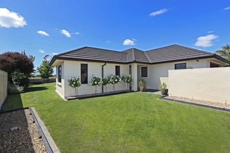 Photo of property in 46 Pinotage Drive, Greenmeadows, Napier, 4112