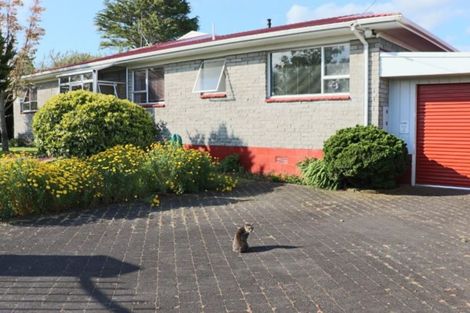 Photo of property in 31 Wrigley Street, Waihi, 3610