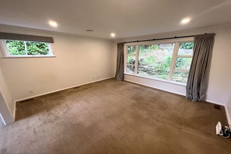 Photo of property in 20 Zetland Street, Highbury, Wellington, 6012