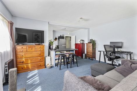 Photo of property in 175 The Ridgeway, Kingston, Wellington, 6021