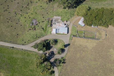 Photo of property in 403 Purangi Road, Purangi, Whitianga, 3591