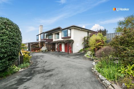 Photo of property in 31 Dunrobin Street, Waverley, Dunedin, 9013