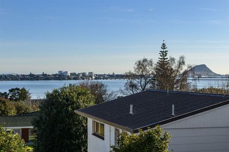Photo of property in 351a Maungatapu Road, Maungatapu, Tauranga, 3112