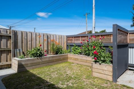 Photo of property in 146 Melbourne Street, South Dunedin, Dunedin, 9012