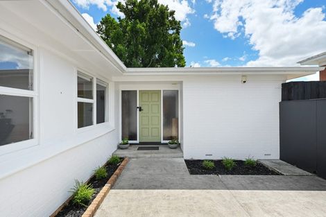 Photo of property in 43 Hillcrest Road, Hillcrest, Hamilton, 3216