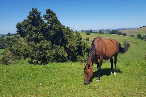 Photo of property in 21 Bee Bush Road, Arapohue, Dargaville, 0374