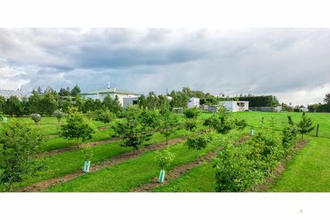 Photo of property in 17 Bakers Road, Waimate, 7978